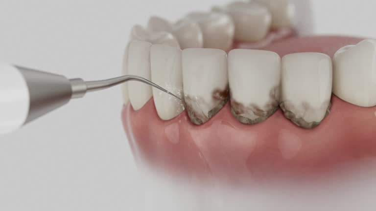 Reliable Dental contractor in West Hill, OH by Dentist Open Now
